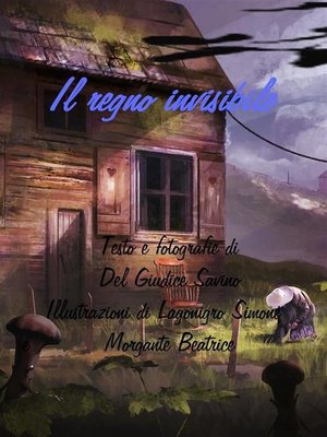 cover image of Il regno invisibile